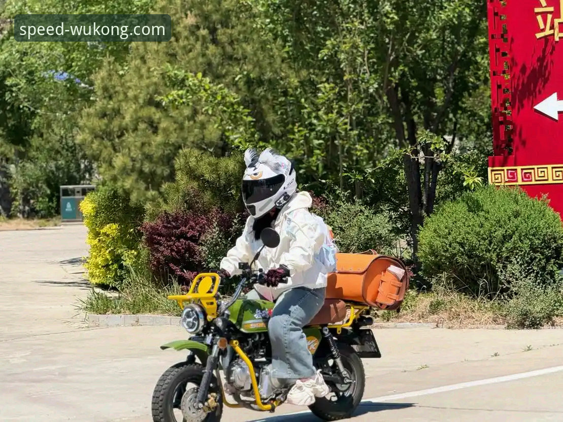 世界超级摩托车锦标赛精彩回放完整指南 · 悟空体育极速体验见证德比斯绝杀封王
